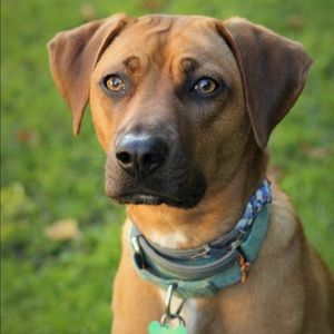 Meet your Posher, Megan